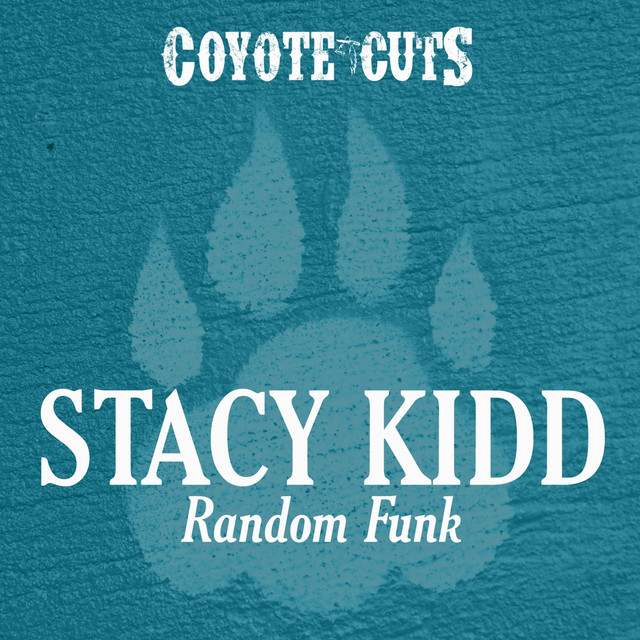 Random Funk album art