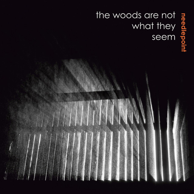 The Woods Are Not What They Seem cover art