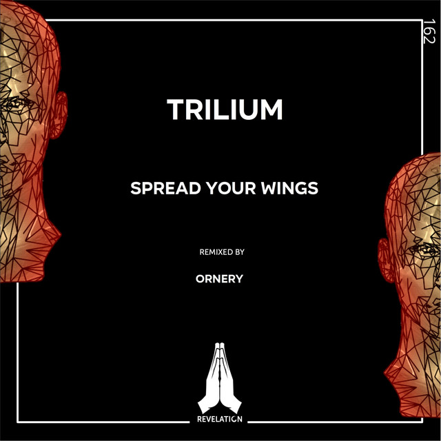 Обкладинка: Spread Your Wings - Ornery Remix — Trilium