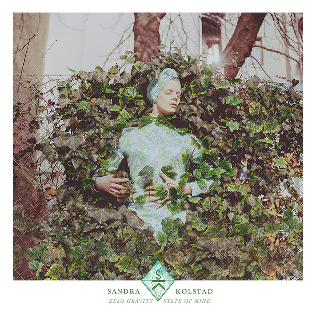 Zero Gravity State Of Mind cover art