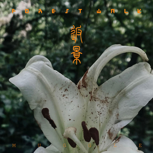 Forest Walk cover art
