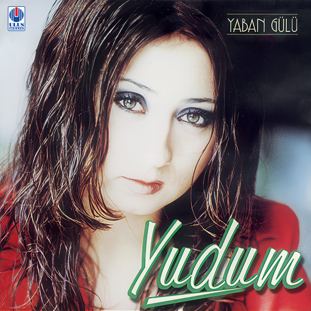 Yaban Gülü cover
