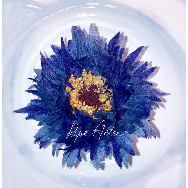 Ripe Aster cover