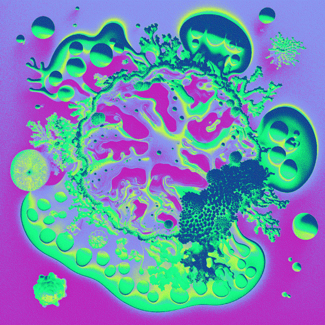 Echolocations cover art