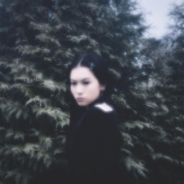 ode to getting older cover art