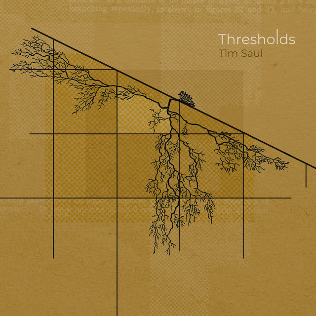Thresholds cover art