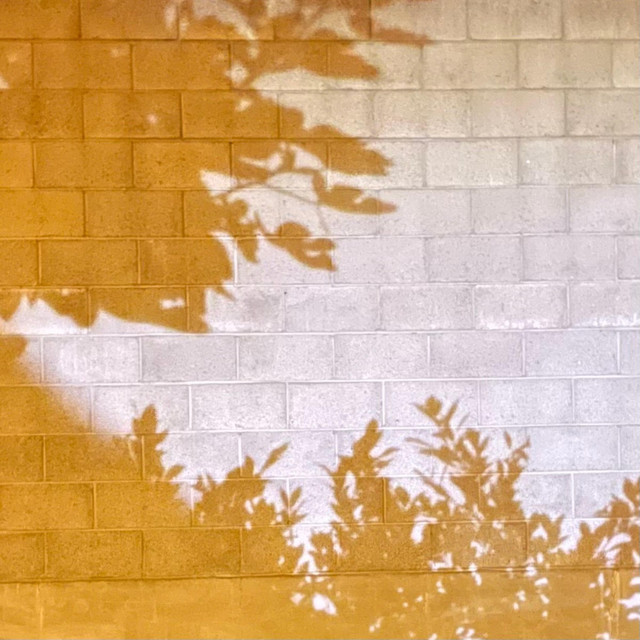 Idek cover art