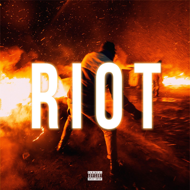 Riot cover