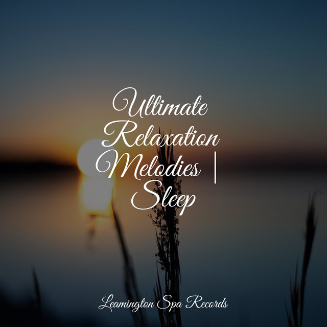 Ultimate Relaxation Melodies | Sleep - Album by Studying Music | Spotify