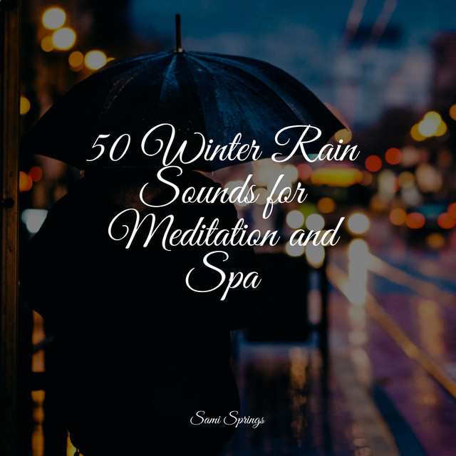 50 Winter Rain Sounds for Meditation and Spa - Album by Happy Baby ...