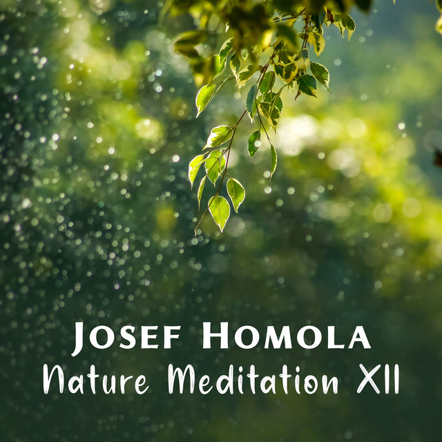 Nature Meditation XII cover art