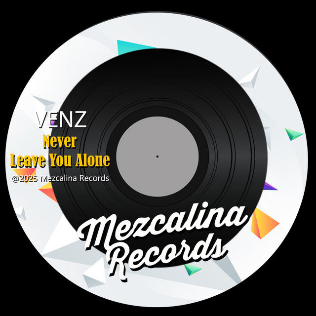 Never Leave You Alone - Radio Mix