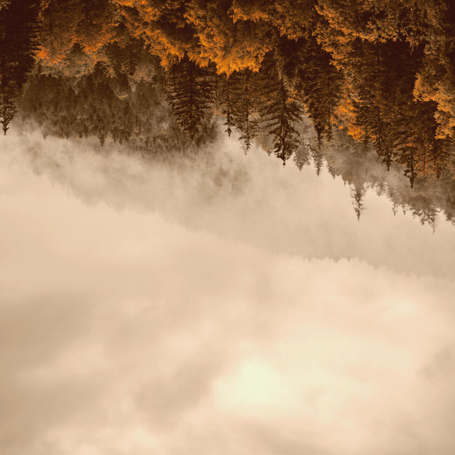 Whispers of the Fading Season cover art