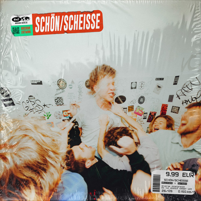 Schön/Scheisse cover art