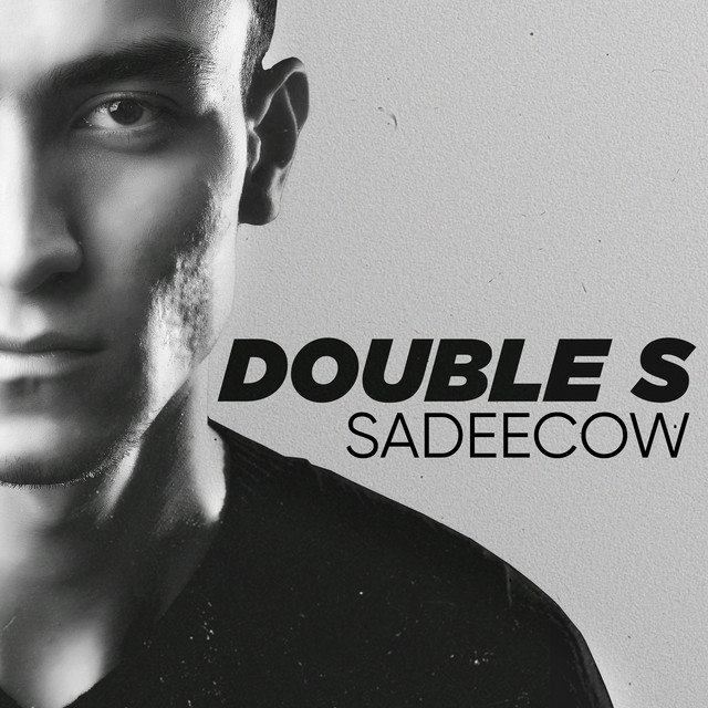 Double-s cover art