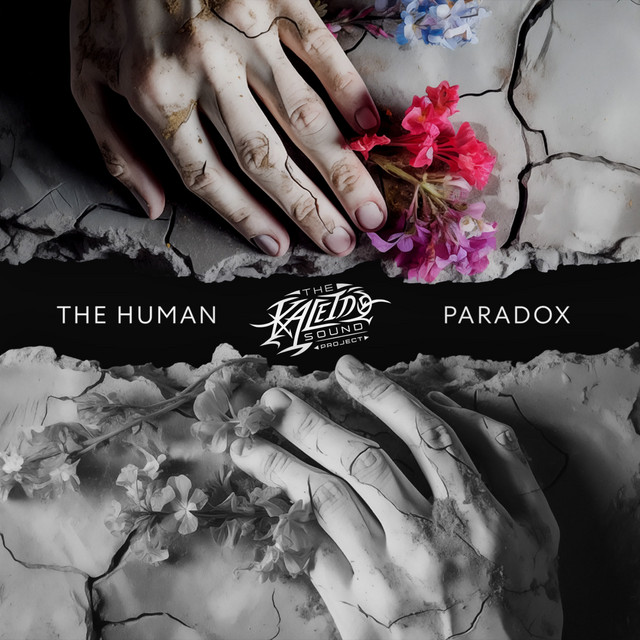 The Human Paradox artwork