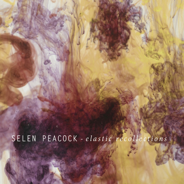 Elastic Recollections cover