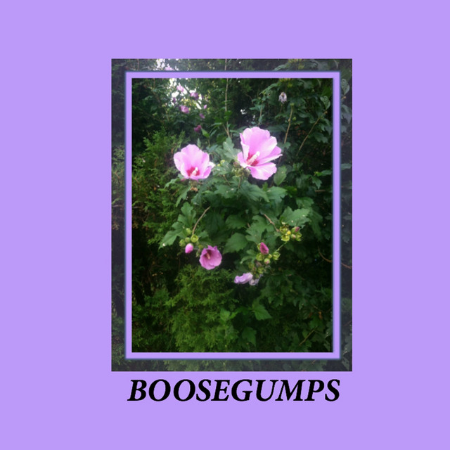 ☺ cover art