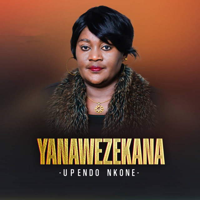 Yanawezekana cover art