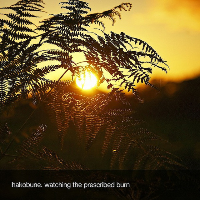 Watching The Prescribed Burn cover art