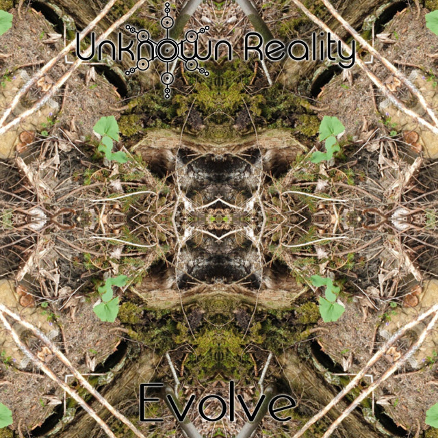 Evolve cover art
