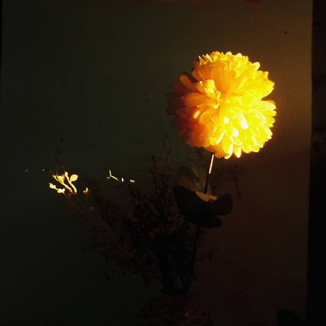 undefined album image