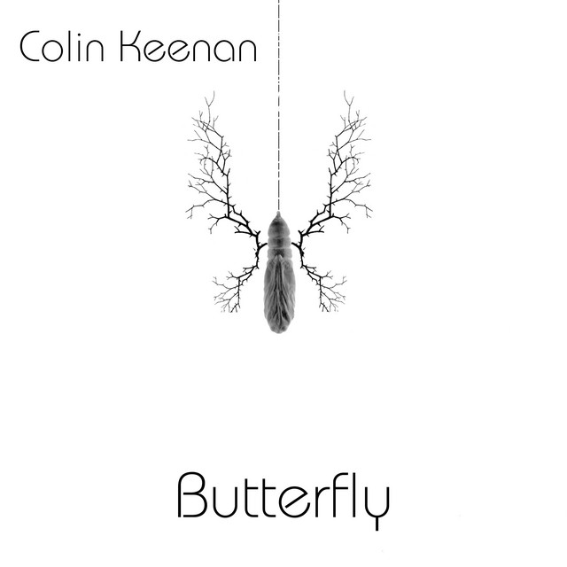 Butterfly album image
