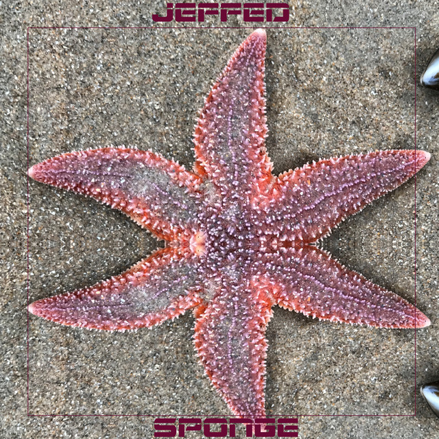 Sponge cover