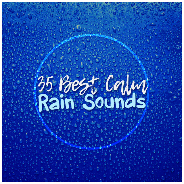 35Best Calm Rain Sounds - Album by Pro Sound Effects Library | Spotify