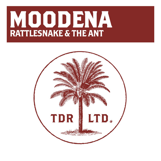 The Rattlesnake & The Ant
