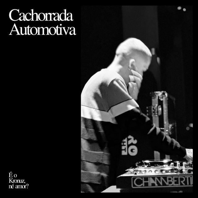 Placo Na Cara Da Puta (ELETROFUNK)