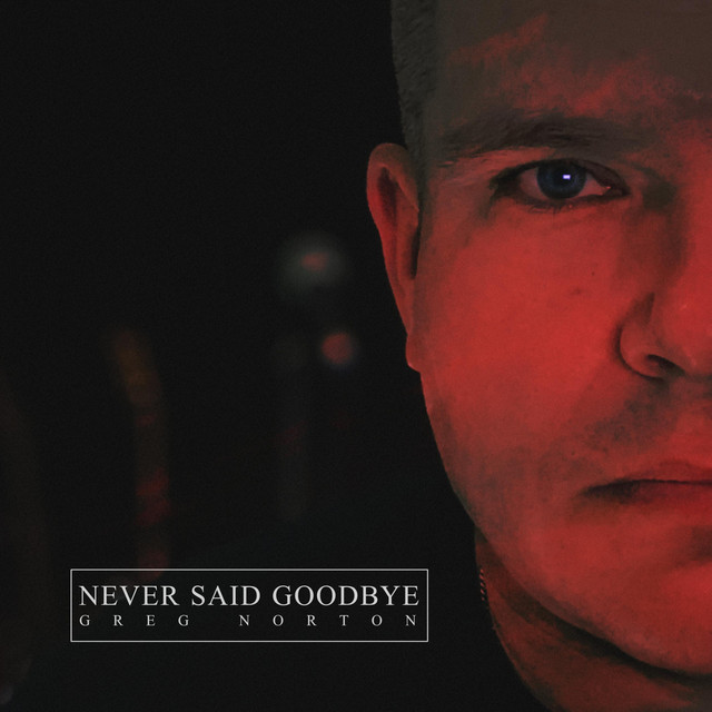 Never Said Goodbye cover