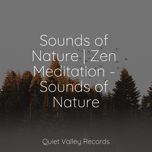 Sounds of Nature | Zen Meditation - Sounds of Nature cover art