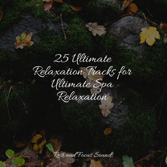 25 Ultimate Relaxation Tracks for Ultimate Spa Relaxation - Album by ...