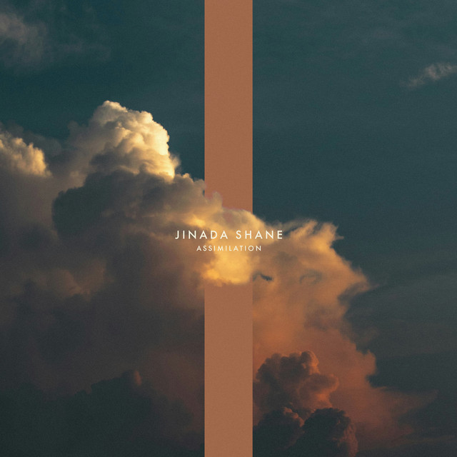 Assimilation cover art