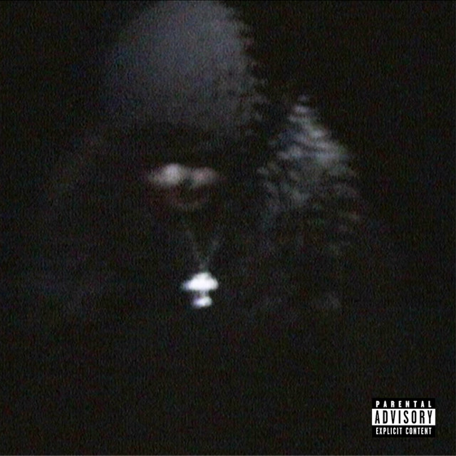 Trash cover art