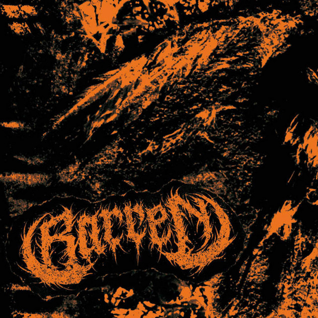 split with DISTASTE cover art