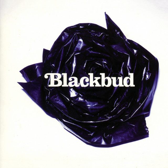 Blackbud cover