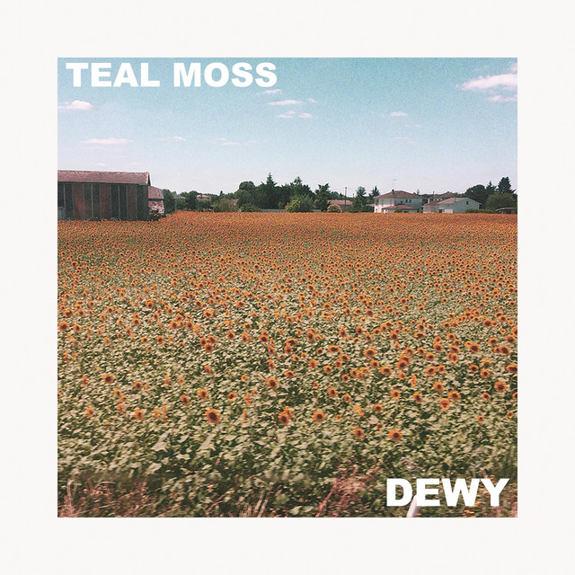 Dewy cover art
