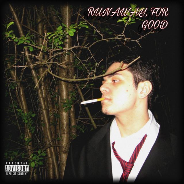 RUNAWAY, FOR GOOD cover art