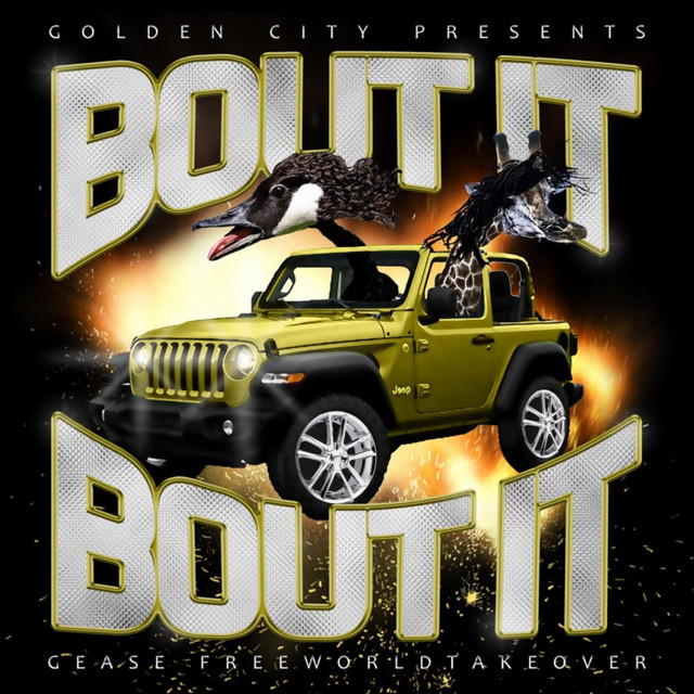 Dynamic cover art