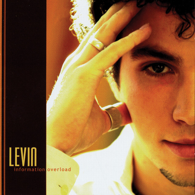 Album artwork for Everybody by Levin