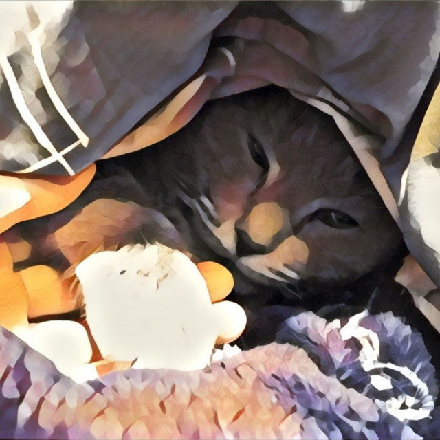 Rat Chat cover art
