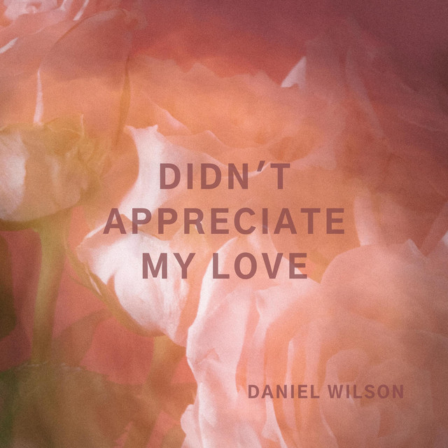Didn't Appreciate My Love cover art