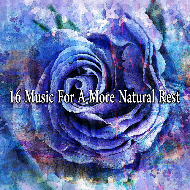 16 Music For A More Natural Rest - Album by Sleep Sounds of Nature ...