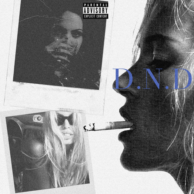 D.N.D cover art