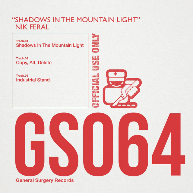 Shadows In The Mountain Light cover art