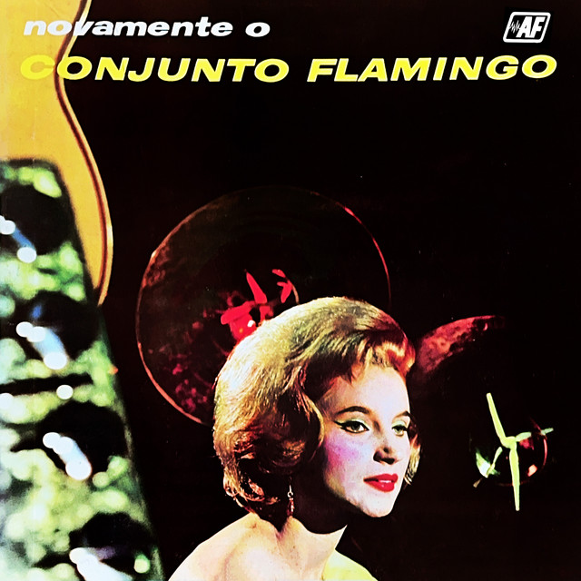 Novamente O Conjunto Flamingo