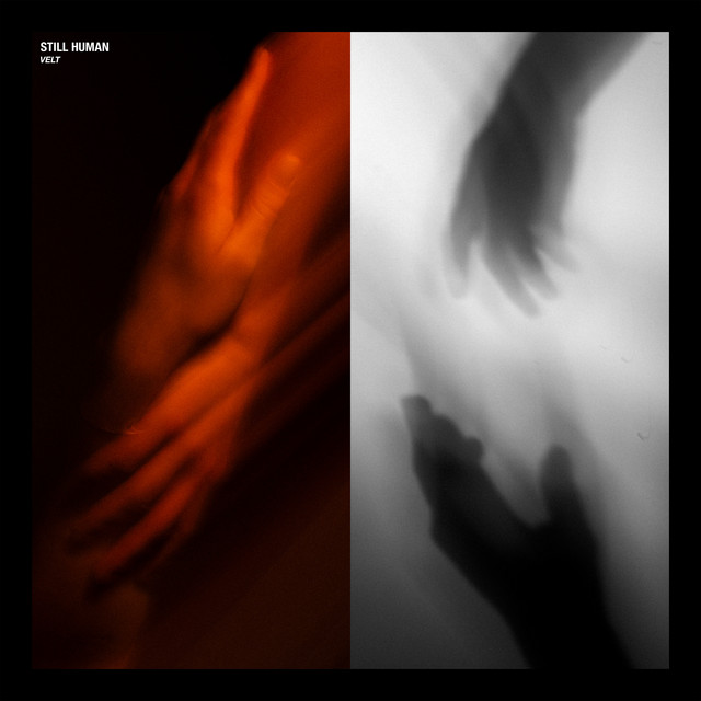 Still Human artwork