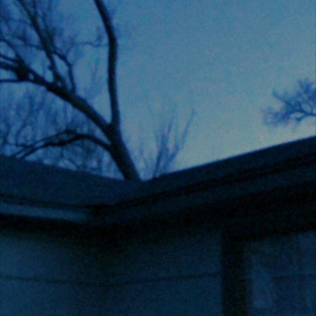 ǝsnoɥ ʎlǝuol cover art